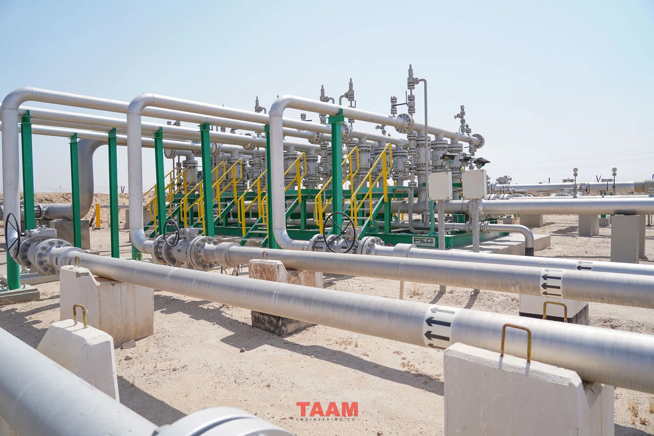 Piping and structural supports shown in TAAM’s DGS modification experience